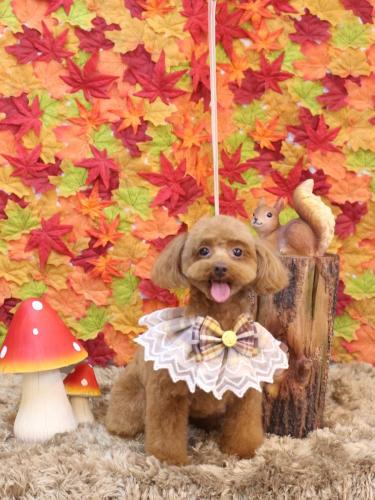 20241106永遠ちゃん